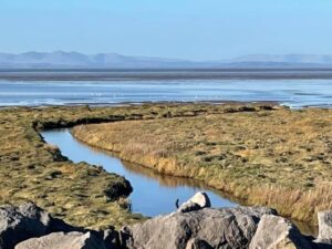 View at Sandy Bay Caravan Park Preesall