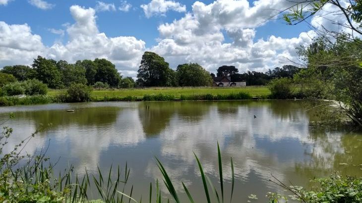   Briarcroft Fishery