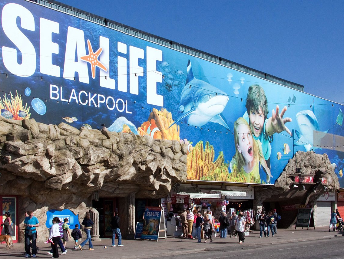Blackpool Sealife