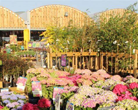 Burnside garden centre
