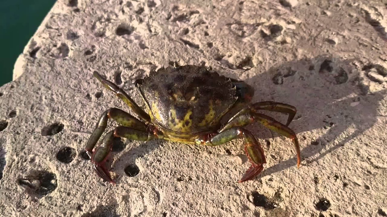 Crabbing