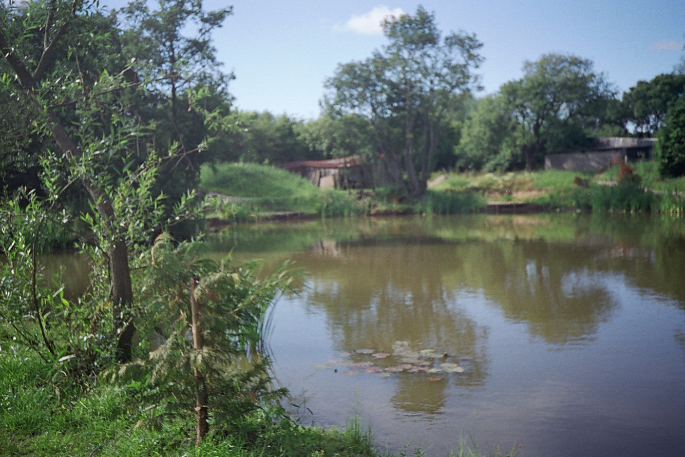 Hudsons Farm Fishery