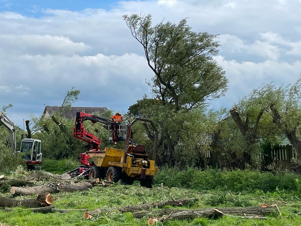 Tree maintenance at Sandy Bay Caravan Park Preesall