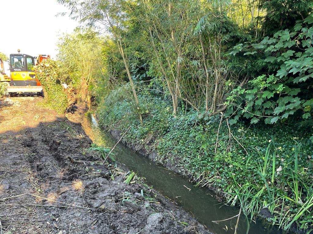 Dyke and Drainage maintenance