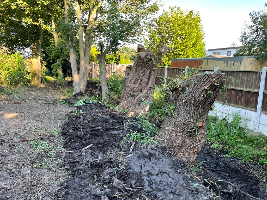 Dyke clearance Sandy Bay