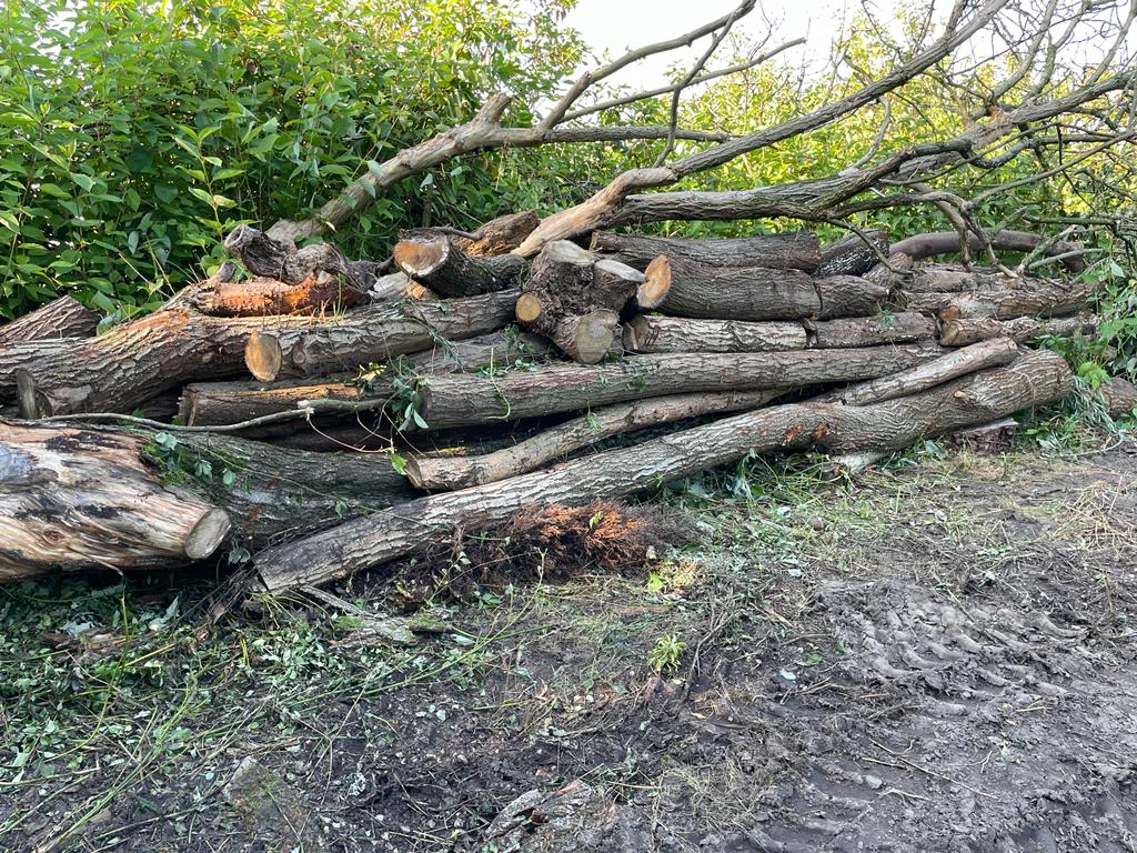 Dyke Clearance Sandy bay