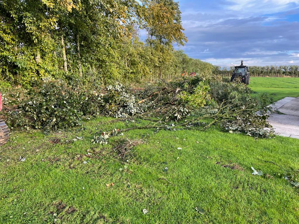 Tree maintenance at Sandy Bay Caravan Park Preesall