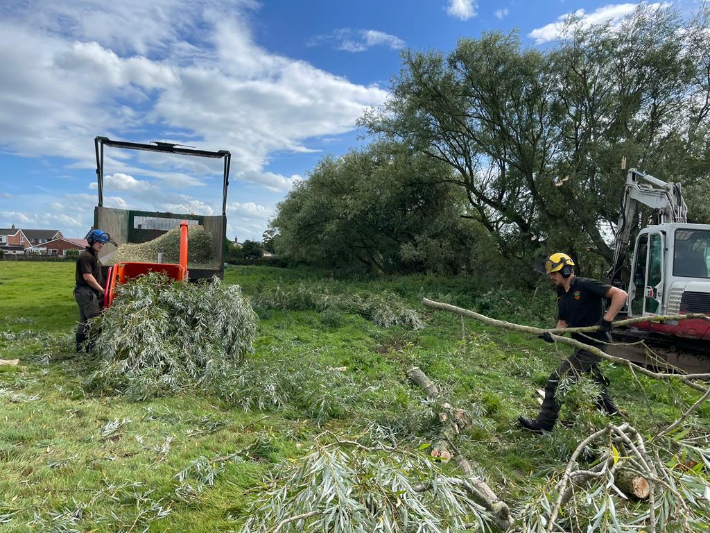 Tree maintenance at Sandy Bay Caravan Park Preesall