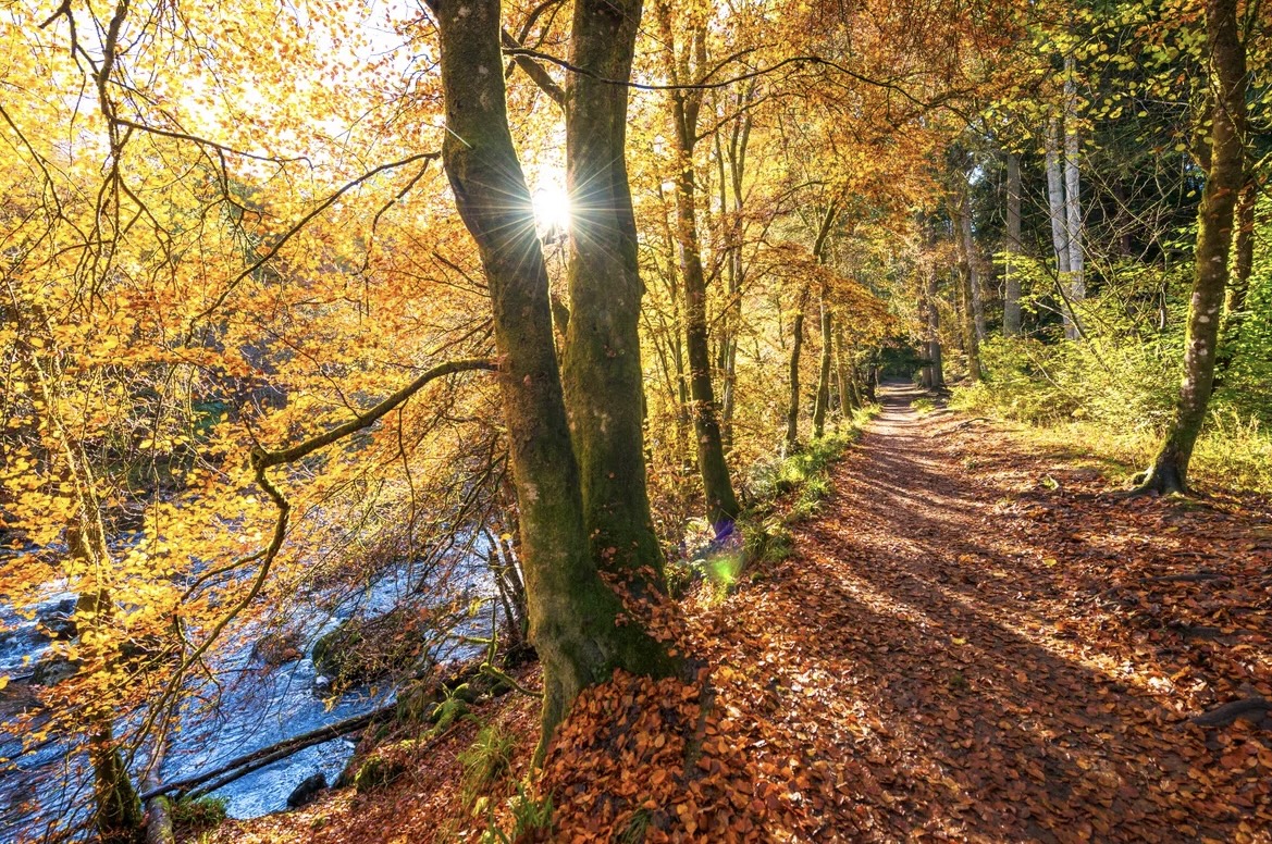 Discover Autumn Adventures Near Sandy Bay, Preesall
